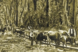 Construcción del ferrocarril entre Castro y Ancud