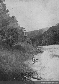 Camino de Puerto Aysén a Coyhaique, km. 44, 1920
