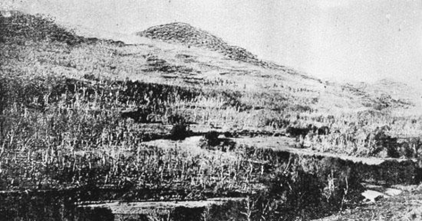 Vista del río Coyhaique a 3 km de la estancia central de la S.I.A., 1920