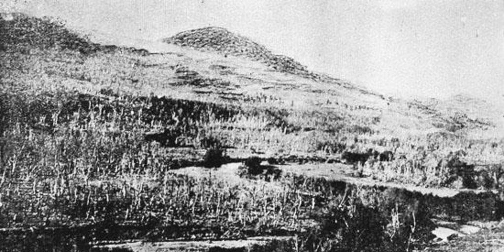 Vista del río Coyhaique a 3 km de la estancia central de la S.I.A., 1920