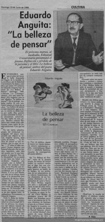 Eduardo Anguita : la belleza de pensar