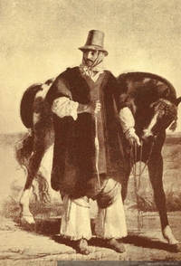 Gaucho federal, 1845