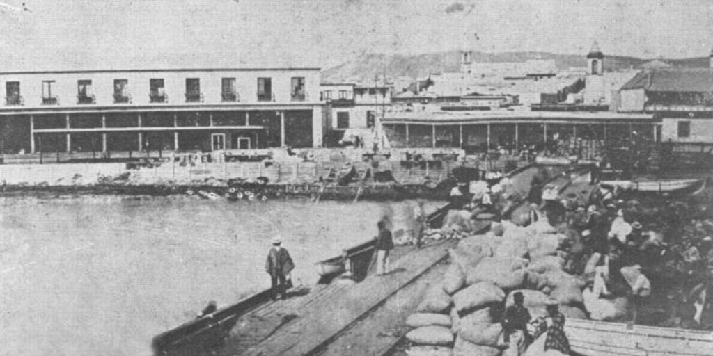 Puerto de Arica, hacia 1900