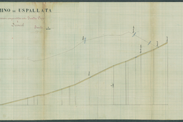 Plano del camino de Uspallata. Sección entre Guardia Vieja y Juncal, 1888