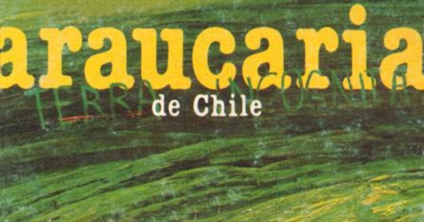 Araucaria de Chile, Nº 26, 1984
