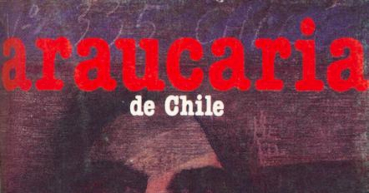 Araucaria de Chile, Nº 47-48, 1989