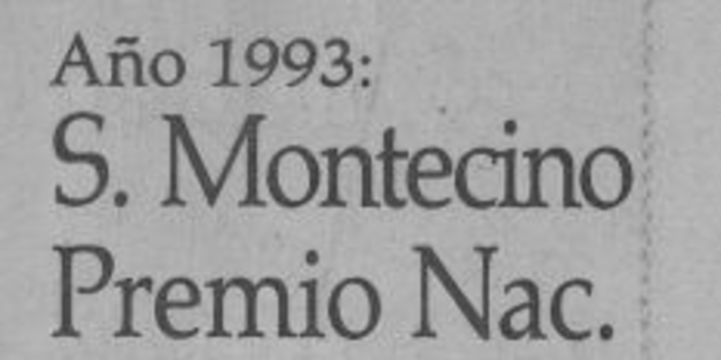 S. Montecino, Premio Nac. de Artes Plásticas : año 1993