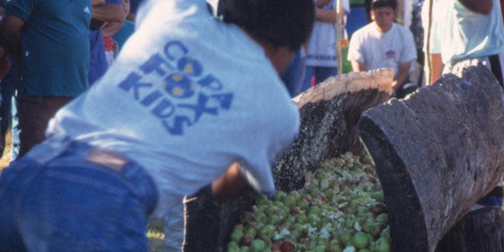 Maja a vara, fiesta costumbrista en Estero Chacao, febrero 2000