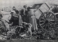 Hornos crematorios en las riberas del río Mapocho, 1905