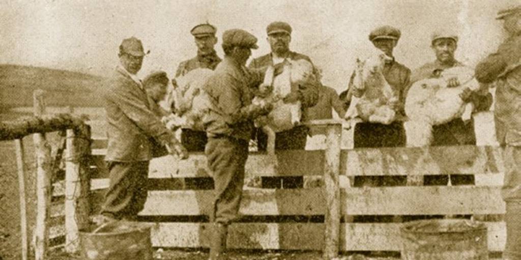Obreros de la Estancia Las Lagunas, Magallanes, 1920