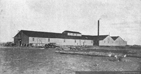 Galpón de esquila de la estancia Caleta Josefina, Magallanes, 1920