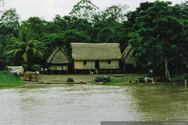 Vivienda indígena en el río Ucayali, Perú, 2000
