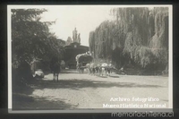 Carretas tiradas por bueyes transportan sacos de trigo, en Hacienda el Huique, ca. 1930