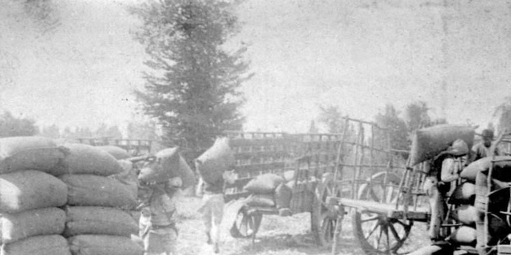 Migración campo ciudad (18851952) Memoria Chilena, Biblioteca Nacional de Chile Migración campo ciudad (18851952) Memoria Chilena, Biblioteca Nacional de Chile