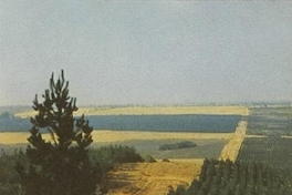Programa forestal de Corfo, hacia 1960