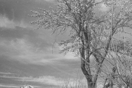 Cerros nevados, hacia 1960