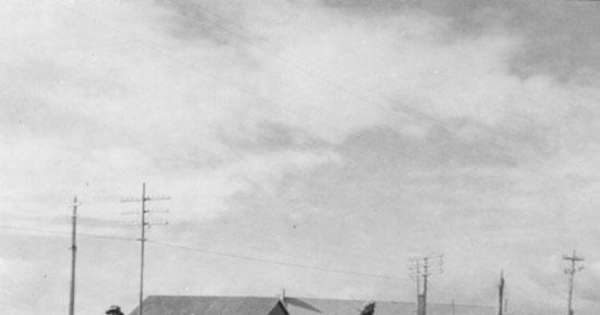 Ovejeros junto a su rebaño, Punta Arenas, hacia 1950