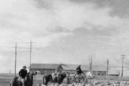 Ovejeros junto a su rebaño, Punta Arenas, hacia 1950