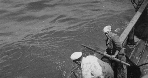 Pescadores en faenas de pesca, hacia 1960
