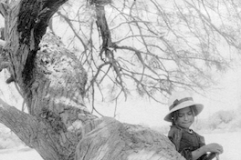 Niña junto a un árbol, hacia 1960