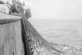 Pesca con red, captura de peces, hacia 1965