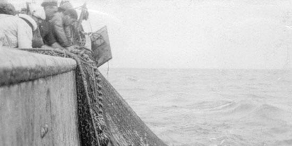 Pesca con red, captura de peces, hacia 1965