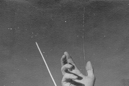 Director de orquesta. Detalle de las manos, hacia 1965