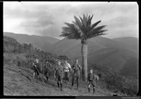 Grupo junto a palma, ca. 1900
