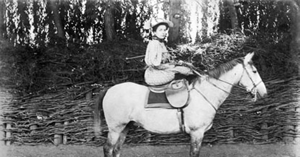 Retrato de Elena Sánchez Errázuriz Echenique, ca. 1898