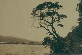 Vista a un lago, ca. 1906