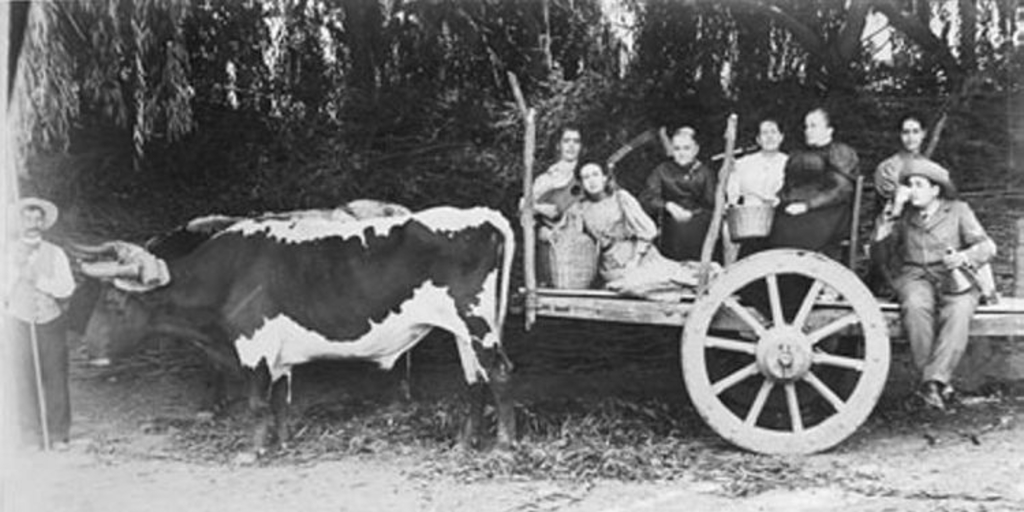 Grupo en carreta, ca. 1890