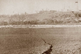 Campo de trigo con una pequeña franja de erosión, primera mitad del siglo 20