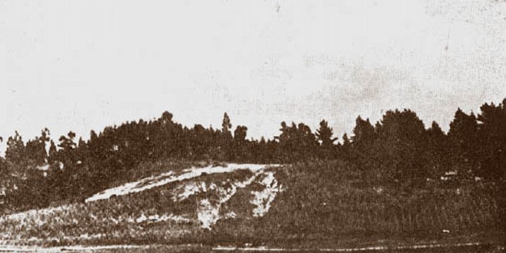 Forestación de laderas erosionadas, ca. 1940