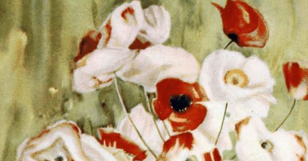 Amapolas