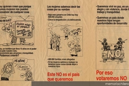 Por eso votaremos No, 1988