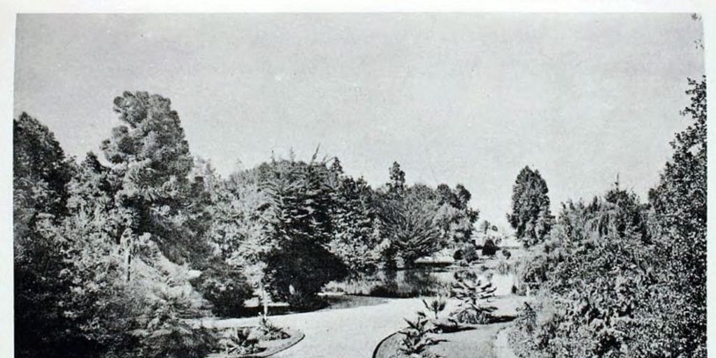 Vista del Parque Quinta Normal