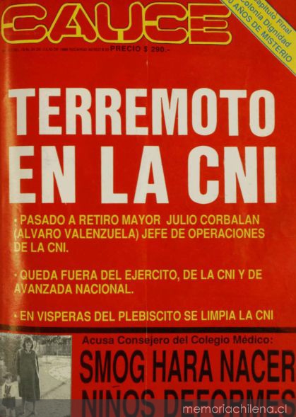 La contaminación ambiental causa deformaciones en los niños