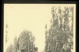 Familia se transporta en una carreta tirada por bueyes, en la Hacienda el Huique, ca. 1930
