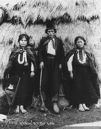 Longko y sus dos mujeres, ca. 1890