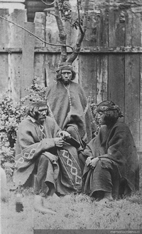 Grupo de mapuche en un huerto sureño, ca. 1870