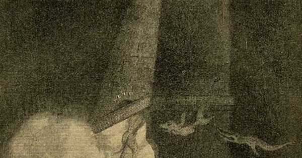 Preparativos para la reunión de brujas y hechiceros