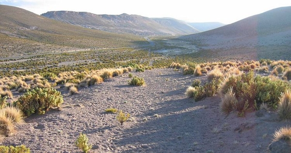 Camino despejado en el sector de Quebe, I Región de Tarapacá