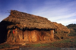 Asentamiento mapuche actual