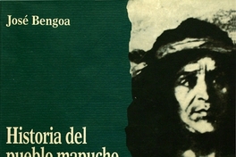 Las agrupaciones mapuches en el siglo XIX