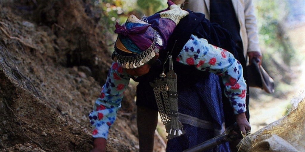 Mujer mapuche recolectando hongos y hierbas medicinales