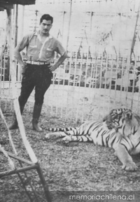 Capitán Maluenda (Joaquín Maluenda Zúñiga) y su tigre príncipe