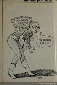 Caricatura en Análisis, 1982