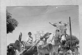 Niño manejando una carretela