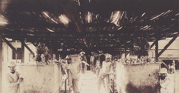 Obreros moviendo carros con caliche para su descarga en los "cachuchos",Oficina Solferino, Tarapacá, 1889