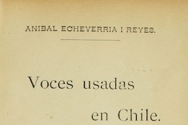 Voces usadas en Chile